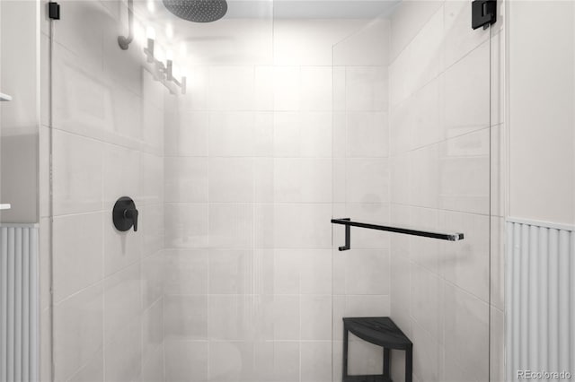 bathroom featuring a shower stall