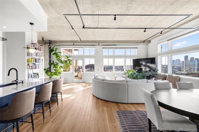 living area with track lighting and light wood-style flooring