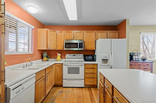 kitchen with sink, white appliances, and light wood-type flooring