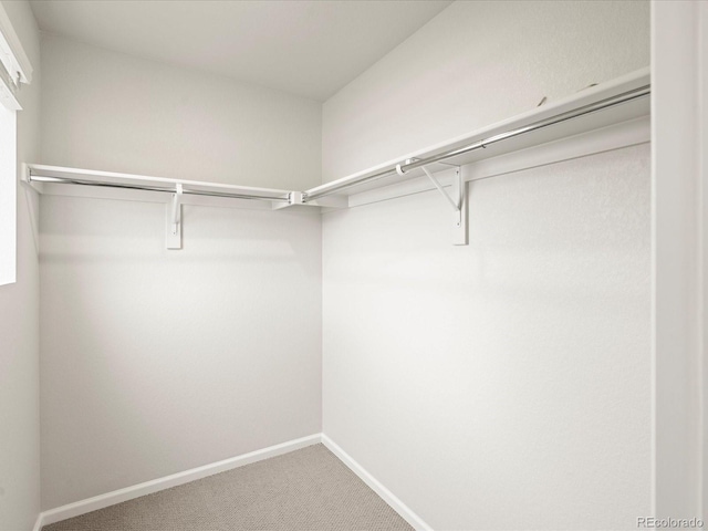 4761 Talley St, Morrison, CO 80465 - walk in closet featuring carpet