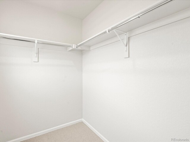 4761 Talley St, Morrison, CO 80465 - walk in closet featuring carpet flooring