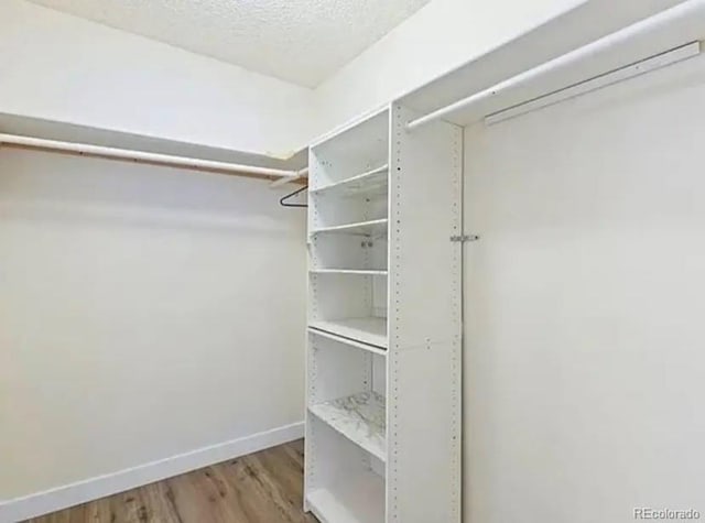 spacious closet with hardwood / wood-style floors