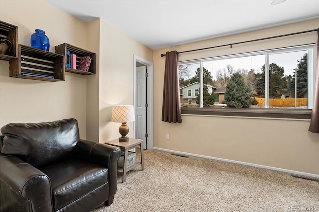 sitting room featuring carpet floors