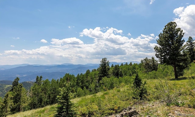 34706 Mouse Ear Ln, Golden, CO 80403