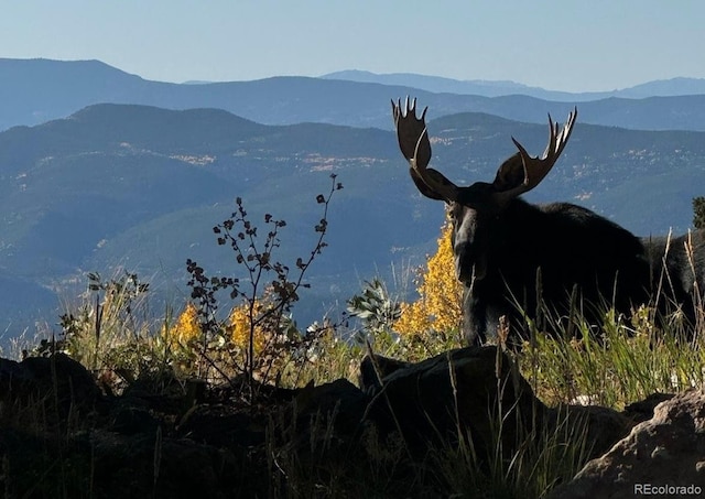 34706 Mouse Ear Ln, Golden, CO 80403