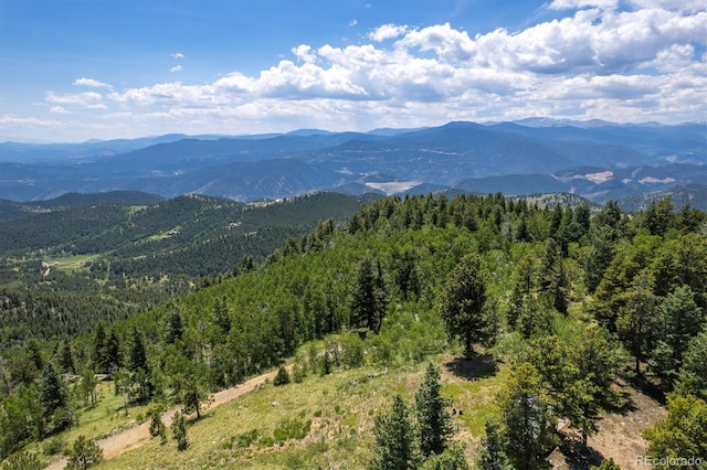 34706 Mouse Ear Ln, Golden, CO 80403