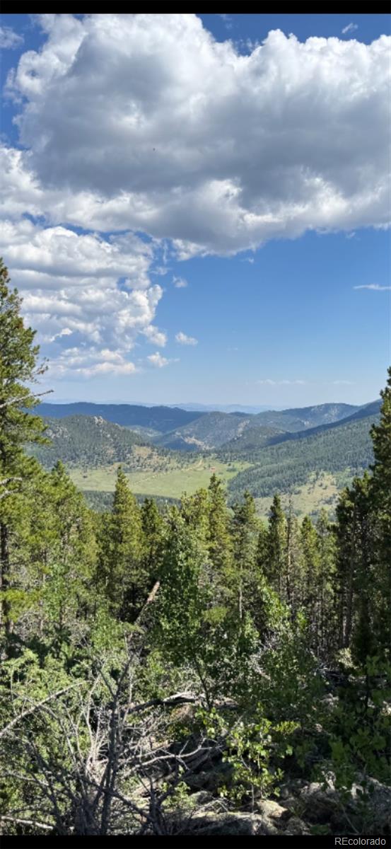 34706 Mouse Ear Ln, Golden, CO 80403