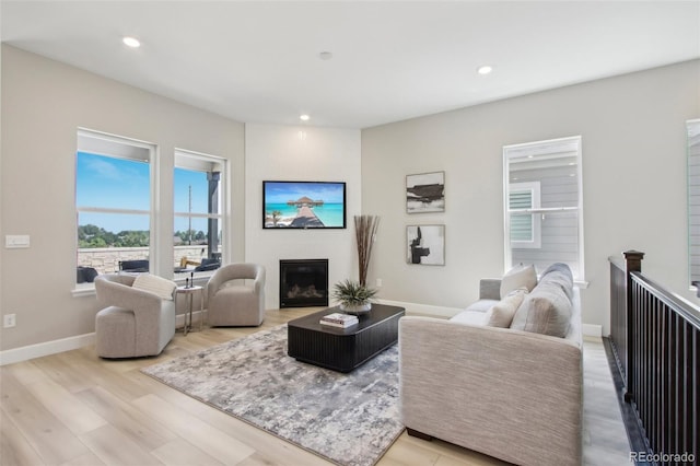 living room featuring light hardwood / wood-style flooring