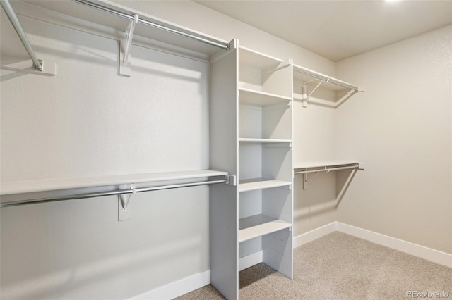 walk in closet featuring light carpet