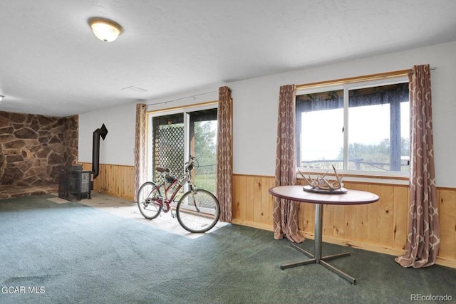 153 Gcr 135, Kremmling, CO 80459 - interior space with a wood stove, wood walls, and a wainscoted wall