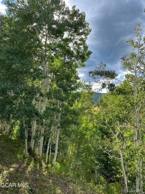 153 Gcr 135, Kremmling, CO 80459 - view of local wilderness featuring a wooded view