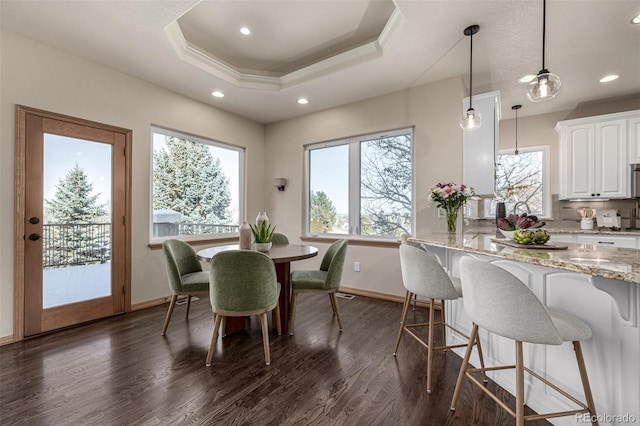 dining area featuring a tray ceiling and dark hardwood / wood-style flooring