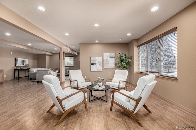 living area featuring light hardwood / wood-style floors and a wealth of natural light