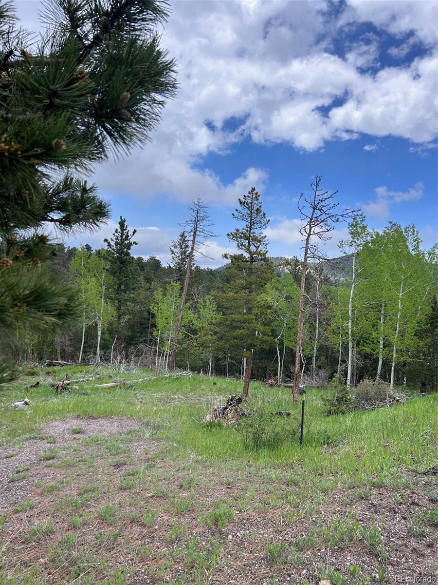 31755 Lillis Pl, Golden, CO 80403 - photo 1
