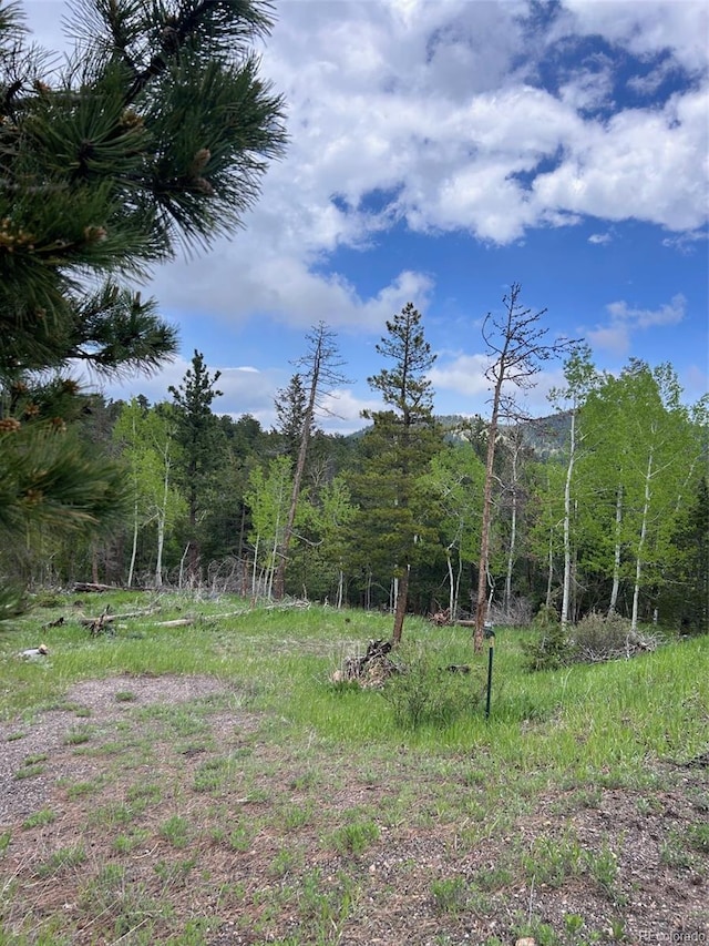31755 Lillis Pl, Golden, CO 80403 - photo 1