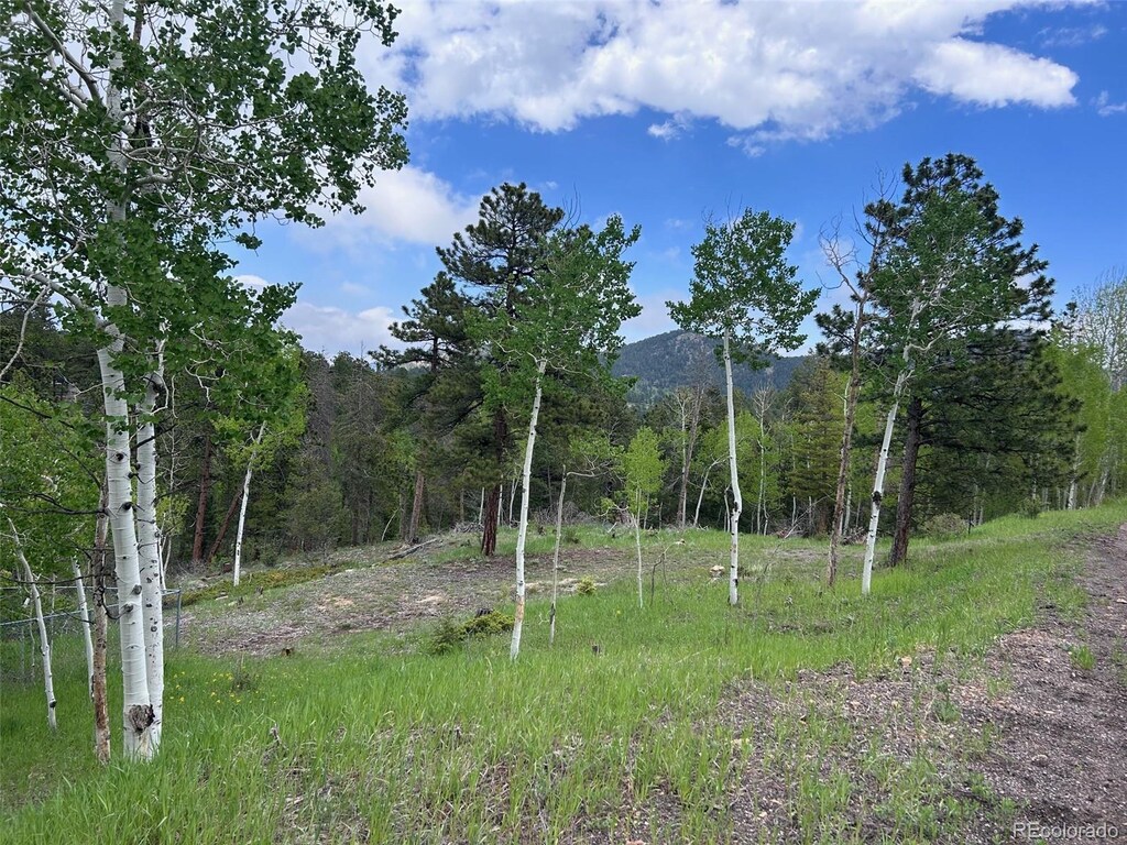 31755 Lillis Pl, Golden, CO 80403 - photo 2