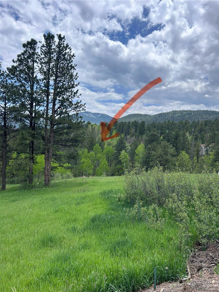 31755 Lillis Pl, Golden, CO 80403 - photo 3