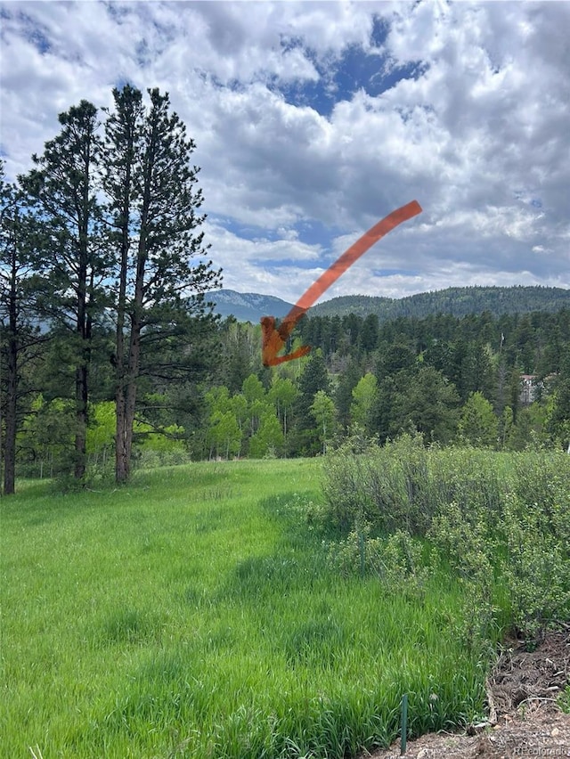 31755 Lillis Pl, Golden, CO 80403 - photo 3