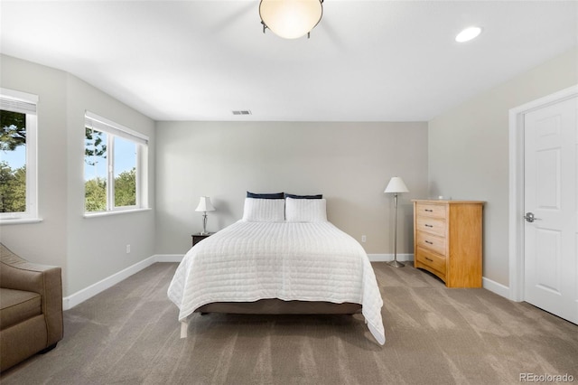 10914 Remmick Ridge Rd, Parker, CO 80134 - bedroom with light colored carpet, baseboards, and recessed lighting