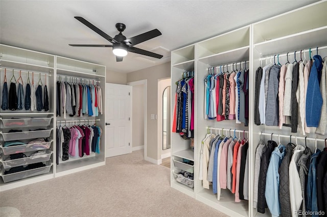 17174 E Rosebay Cir, Parker, CO 80134 - walk in closet with ceiling fan and carpet flooring