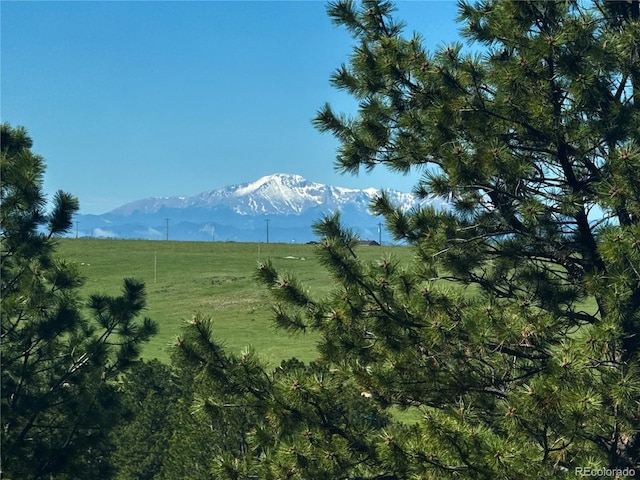 1972 Gold Camp Way, Franktown, CO 80116 - photo 6