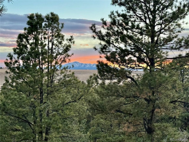 1972 Gold Camp Way, Franktown, CO 80116 - photo 7