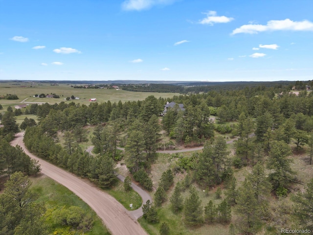 1972 Gold Camp Way, Franktown, CO 80116 - photo 43
