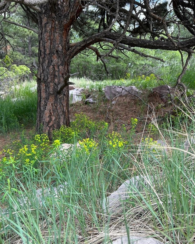 1972 Gold Camp Way, Franktown, CO 80116 - photo 46
