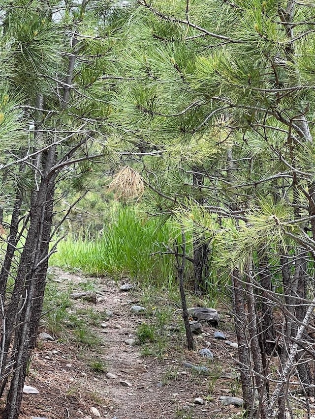 1972 Gold Camp Way, Franktown, CO 80116 - photo 44
