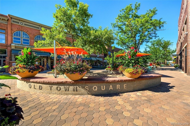 315 Zeppelin Way, Fort Collins, CO 80524 - view of home's community