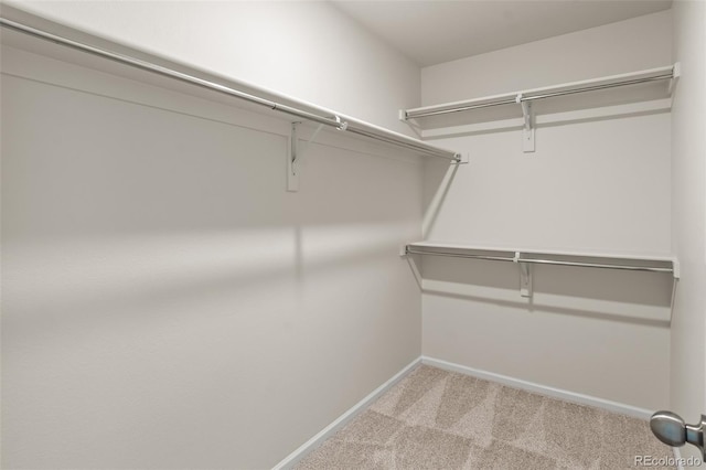 315 Zeppelin Way, Fort Collins, CO 80524 - walk in closet featuring carpet floors