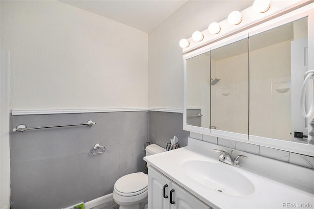 full bathroom featuring toilet, a shower, and vanity
