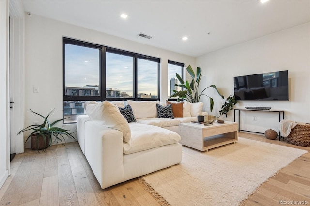 living room with light wood-type flooring