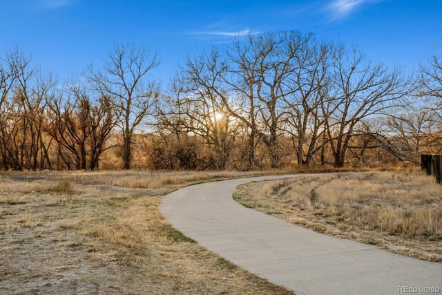 14373 Shasta Daisy Pt, Parker, CO 80134 - view of street