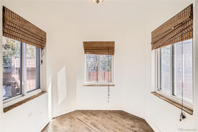 spare room with plenty of natural light and wood-type flooring