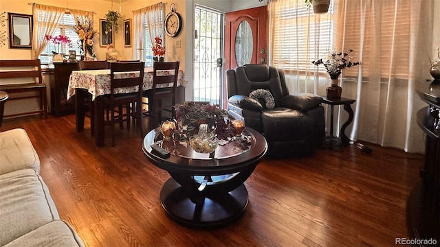 living room featuring a wealth of natural light and dark hardwood / wood-style flooring