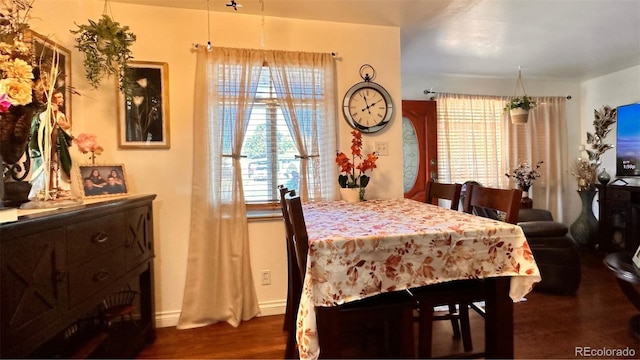 dining room featuring dark wood-type flooring