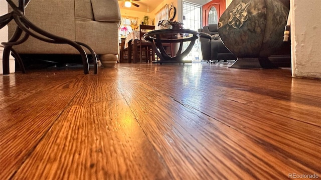 room details featuring wood-type flooring and ceiling fan