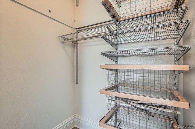 2564 N Emerson St, Denver, CO 80205 - view of walk in closet