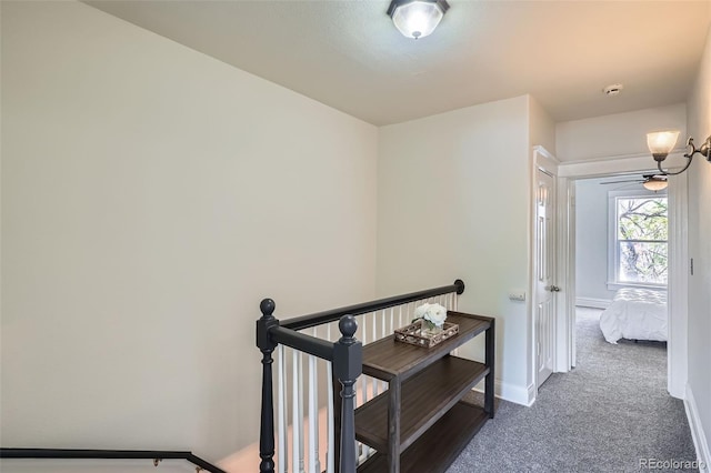 2564 N Emerson St, Denver, CO 80205 - corridor with an upstairs landing, carpet, and baseboards