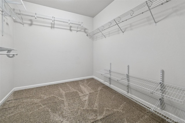 76 N Ider St, Aurora, CO 80018 - walk in closet featuring carpet floors