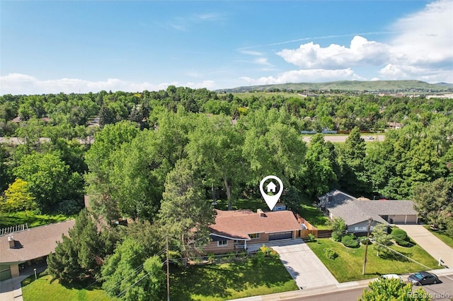 13140 W 15th Dr, Golden, CO 80401 - drone / aerial view of a forest