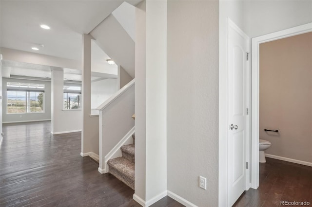 stairway featuring wood-type flooring