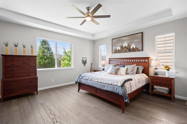 3575 White Rose Loop, Castle Rock, CO 80108 - bedroom with a tray ceiling, baseboards, multiple windows, and wood finished floors