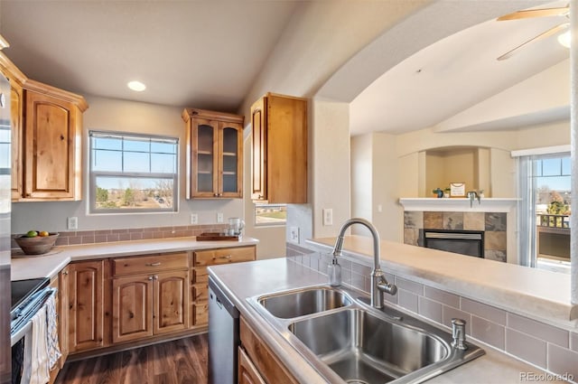 kitchen featuring sink, ceiling fan, dark hardwood / wood-style flooring, stainless steel appliances, and a tiled fireplace