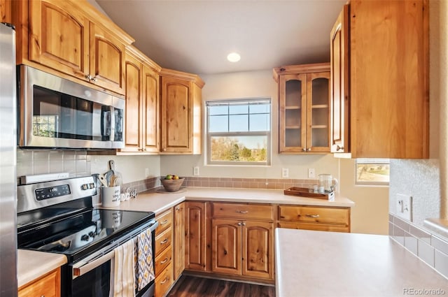 kitchen featuring decorative backsplash, stainless steel appliances, and dark hardwood / wood-style floors