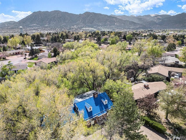 419 Chamberlin Pl, Colorado Springs, CO 80906 - photo 47