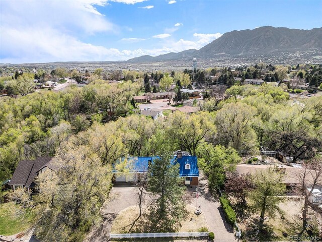 419 Chamberlin Pl, Colorado Springs, CO 80906 - photo 48