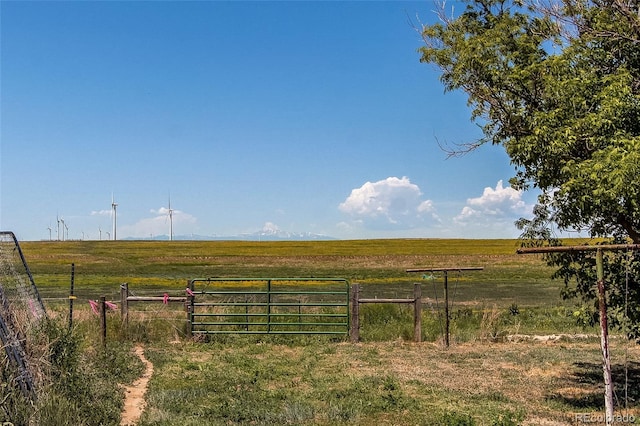 view of yard with a rural view