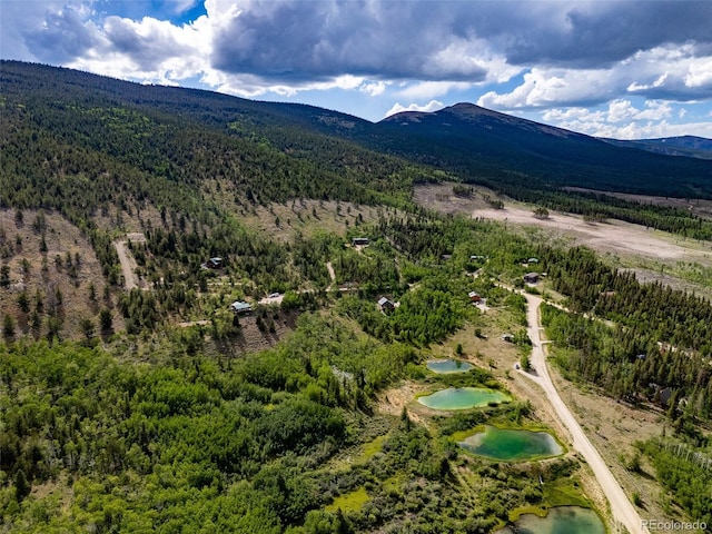 751 Lamb Mountain Rd, Fairplay, CO 80440 - photo 1